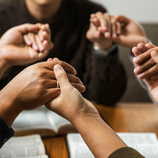 WTL Website Homepage_Small Photo 8